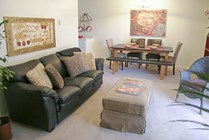 Photo #8